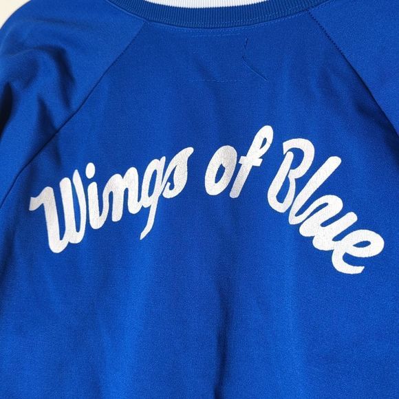 Vintage air force academy wings of blue airplane stunt team - Picture 5 of 5